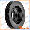 Poulie damper vilebrequin pour RENAULT | RKP-RE-005, 1004
